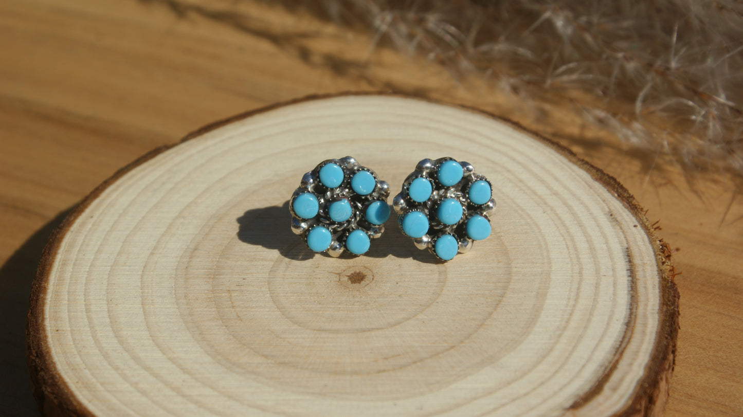 The Darcy Wynn Studs