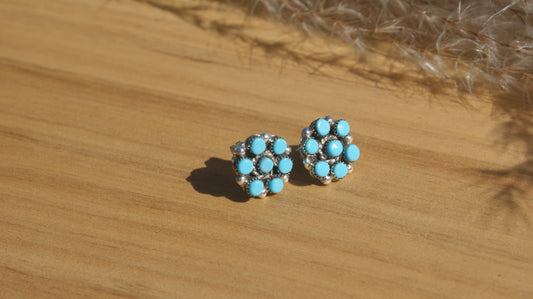 The Darcy Wynn Studs