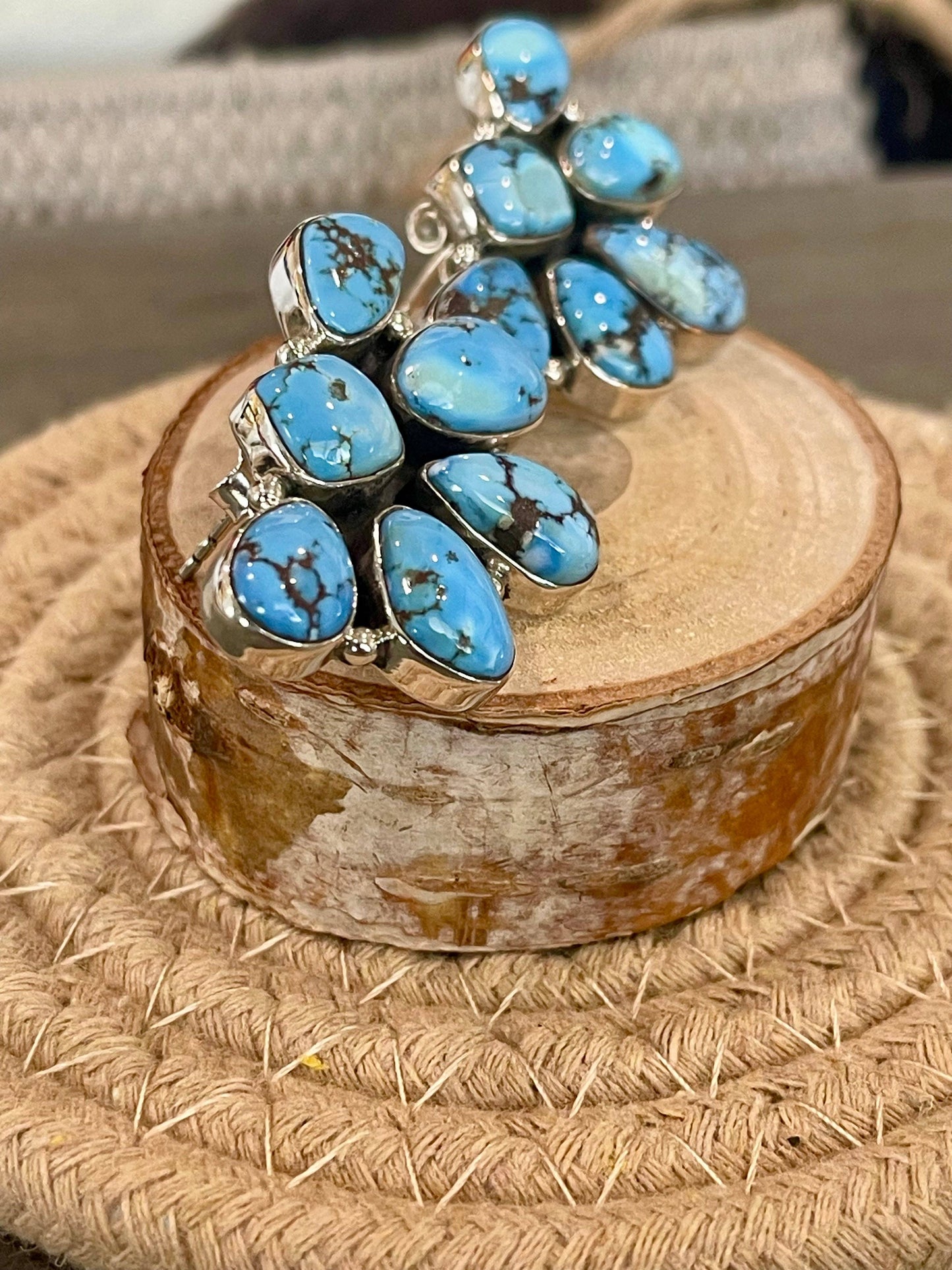 The Sierra Moon Earrings